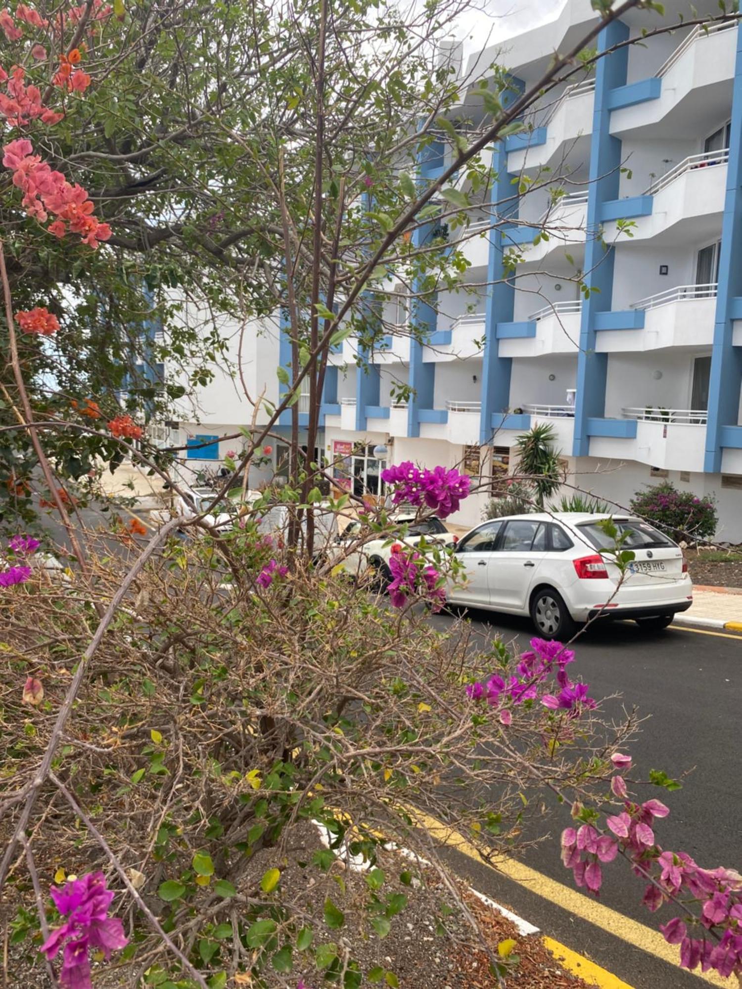 Sissy Tenerife Apartman Сан Мигель Экстерьер фото